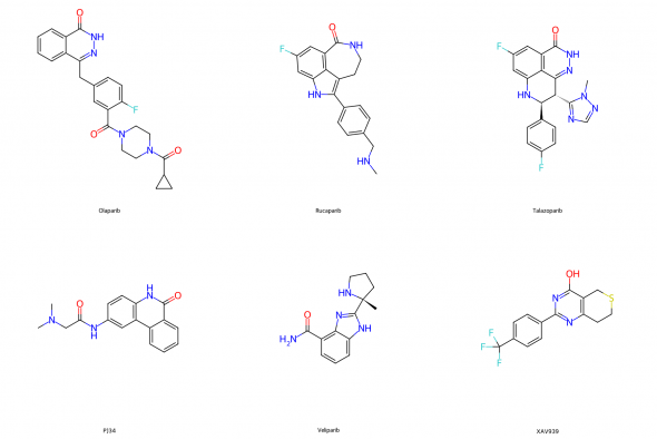 2D chemical structures of six poly(ADP-ribose) polymerase (PARP) inhibitors used in this study. Top row include three FDA approved compounds (olaparib, rucaparib, and talazoparib), bottom row include 